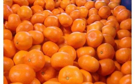 みかん ちっちゃな有田みかん約10kg （3S～2Sサイズ混合）【nuk153B】