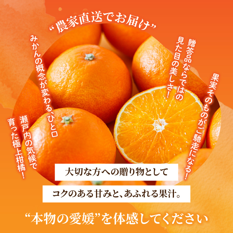 愛果28号 (紅まどんな と同品種) ギフトボックス Lから2Lサイズ 5玉 ご贈答 A品 秀品【2025年11月中旬から発送】 | あいか 紅まどんな 紅マドンナ と 同品種 愛媛みかん みかん ミ