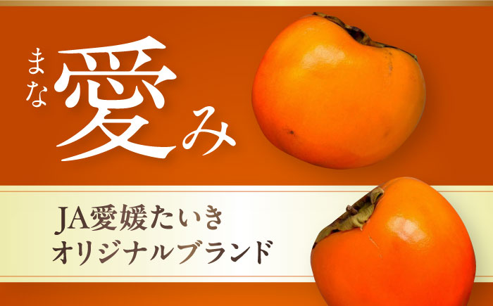 富有柿 2L玉サイズ 約3kg（12玉入り）／フルーツ 果物 くだもの 食品 人気 内子町【愛媛たいき農業協同組合 果樹生産出荷協議会 柿部会】