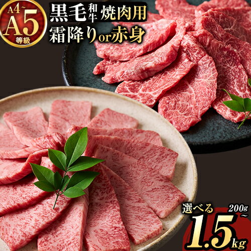 【ふるさと納税】黒毛和牛 A4〜A5等級 霜降り カルビ 赤身 焼肉 A4 A5 200g ~ 1500g 数量限定 先行予約 牛肉 冷凍 くまもと黒毛和牛 冷凍庫 個別 取分け 小分け 個包装 ブランド牛 《7-14日以内に出荷予定(土日祝除く)》 熊本県 南関町 ギフト 贈答 人気