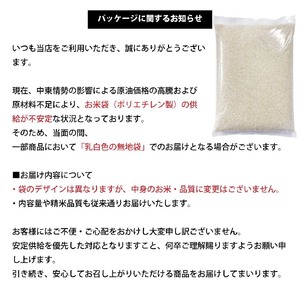 令和7年産 きぬひかり 10kg | お米 米 こめ おこめ 精米 キヌヒカリ 10キロ 国産 国産米 くまもと 熊本 熊本県 玉名市 玉名