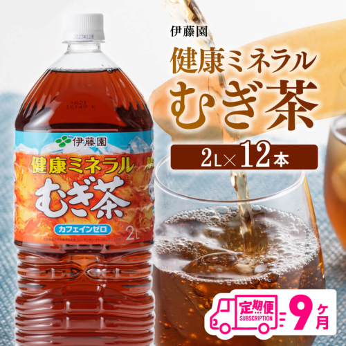 【9ケ月定期便】 伊藤園 健康ミネラル むぎ茶 2L×6本×2ケースPET 【 飲料類 ソフトドリンク 水分補給 お茶 麦茶 ペットボトル 】 宮崎県川南町