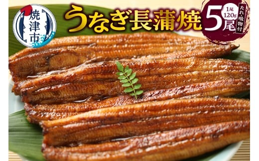 a30-307　うなぎ120ｇ長蒲焼×5、たれ（山椒付）、吸物セット