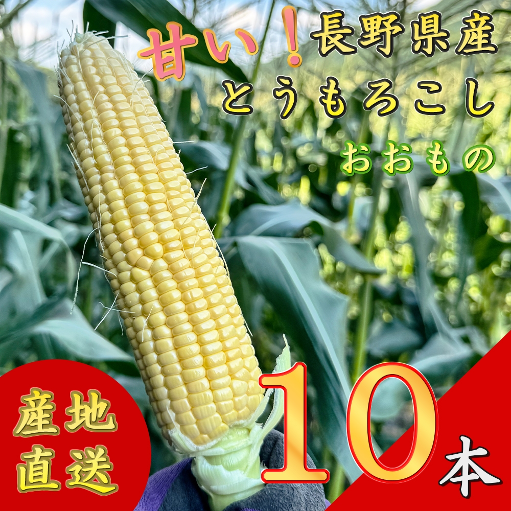 
                  【先行予約】【期間限定】長野県長和町産 黒耀水育ちのあまいとうもろこし 人気品種「おおもの」10本入り とうもろこし セット 冷蔵便 新鮮スイートコーン5kg 朝採れトウモロコシ
                