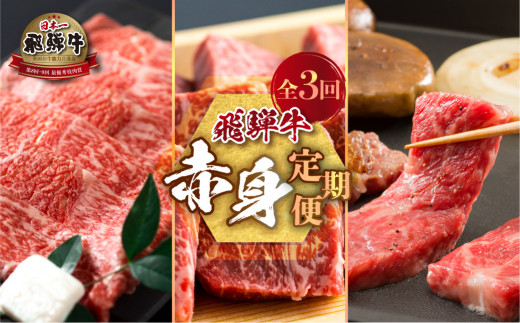 飛騨牛 赤身 定期便 全3回 毎月 お届け 焼肉 もも肉 500g ミニステーキ もも肉 500g すき焼き しゃぶしゃぶ用 もも肉 500g ｜ 飛騨牛 定期便 牛肉 定期便 定期便 牛肉 牛肉 定期便 3回 飛騨牛 定期便 和牛 国産牛 飛騨牛 牛肉 ステーキ肉 飛騨牛 赤身 牛肉 赤身 牛肉 すき焼き 黒毛和牛 国産 飛騨牛 焼肉 世界遺産 白川郷 [S486]