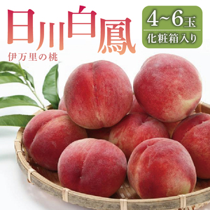 【先行予約】伊万里の桃 化粧箱入り（4〜6玉） B742