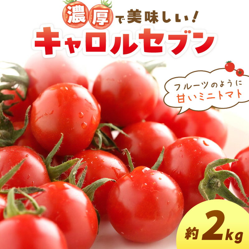 【ふるさと納税】ミニトマト キャロルセブン 2kg【和歌山産】《先行予約》 ふるさと納税 ミニトマト ふるさと納税 トマト 予約 先行予約 野菜 2キロ