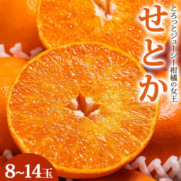 【ふるさと納税】【令和9年2月発送開始】とろっとジューシー せとか 約3kg（8〜14玉）秀品・丸秀品混合 果物 果実 くだもの フルーツ ミカン 蜜柑 みかん 柑橘類 先行予約受付中 期間限定 季節限定 熨斗 のし対応可 贈答 贈り物 プレゼント 高知県 香南市【常温】