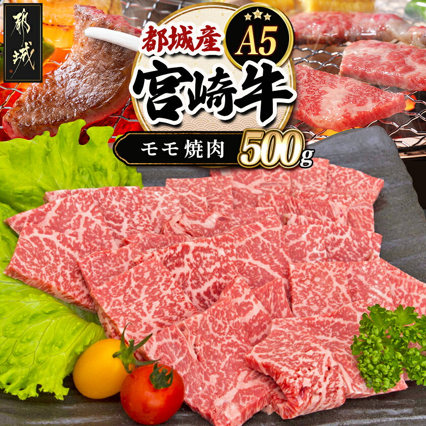 【ふるさと納税】都城産宮崎牛モモ焼肉(A5) - 牛肉 都城産宮崎牛(A5ランク) モモ焼肉 500g 最高等級の5等級 国産黒毛和牛 霜降り牛肉 焼き肉/バーベキュー/鉄板焼き ギフト 贈答用 送料無料 A0-006【宮崎県都城市】