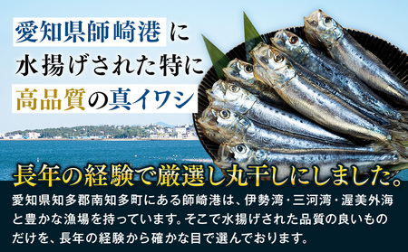 いわしの丸干し 24尾(8尾×3パック) 小分け イワシ