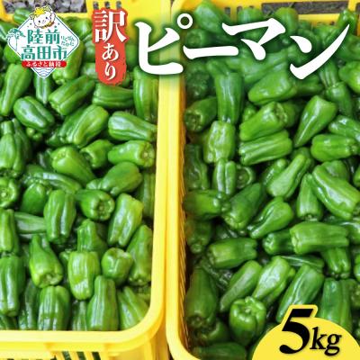 ふるさと納税 陸前高田市 先行予約 訳あり 規格外 ピーマン 約5kg 野菜 夏野菜 Farm Koganeyama