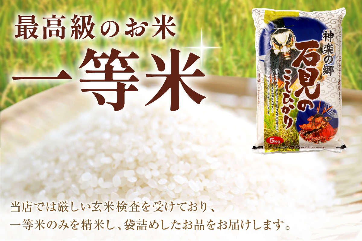 【令和6年産】神楽の郷　石見のこしひかり　5kg×2袋 米 お米 精米 白米 ごはん コシヒカリ お取り寄せ 特産 新生活 応援 準備 【211】