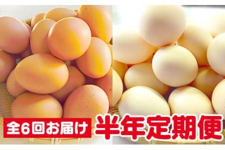 ひまわりたまご紅白セット　半年セット※破卵補償