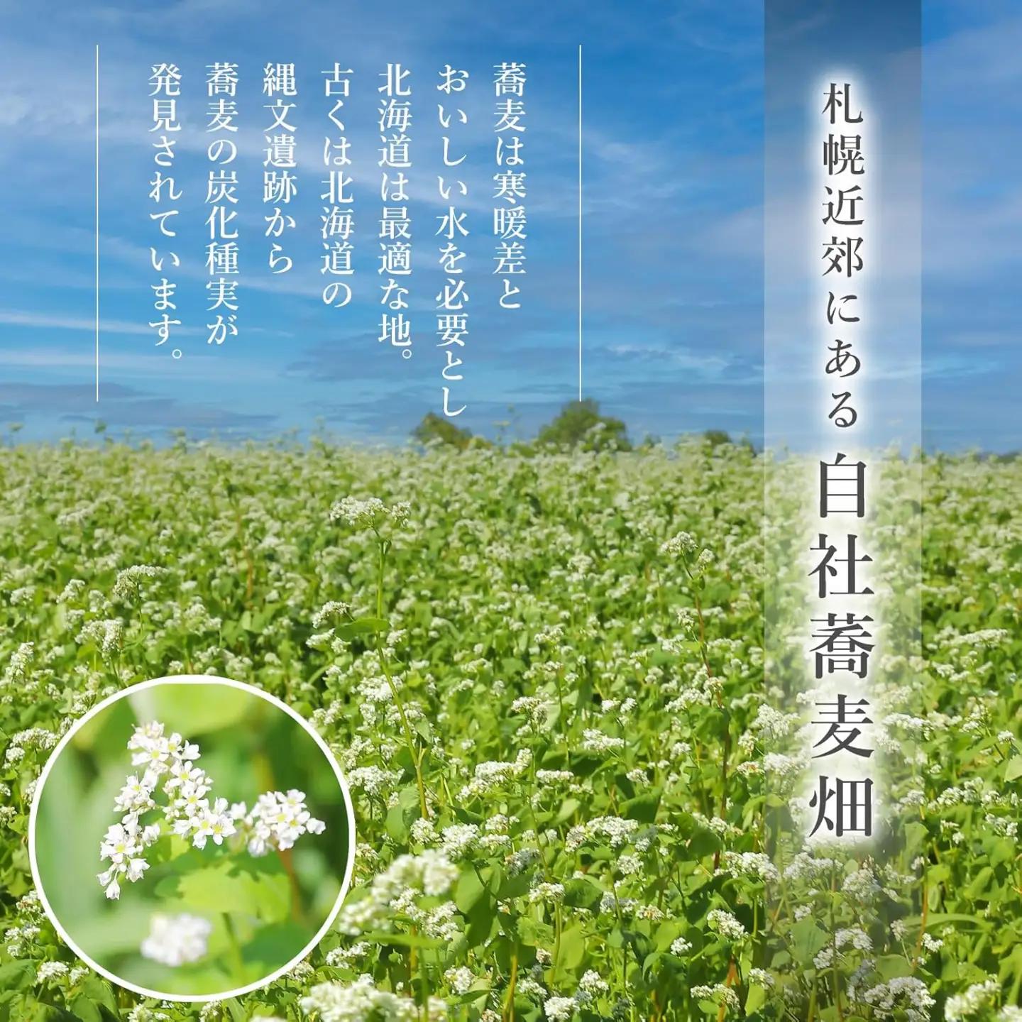 蕎傳 食べくらべセット 更科そば 手打ち風田舎そば(つゆ付き) 8人前 そば湯 北海道産【3030】