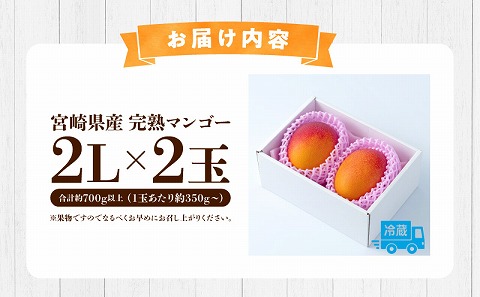 《2026年発送先行予約》【数量・期間限定】宮崎県産完熟マンゴー 2Lサイズ 2玉 果実 完熟 フルーツ