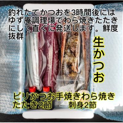 ふるさと納税 南国市 釣れたてモチモチ食感をご家庭で!ビリかつおわら焼きタタキ・刺身各250g×2(醤油・ニンニク・タレ付 |  | 02