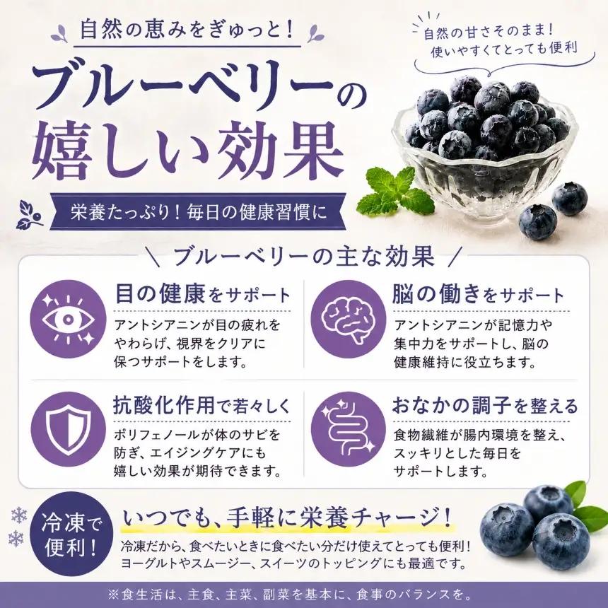 冷凍ブルーベリー 訳あり 1kg