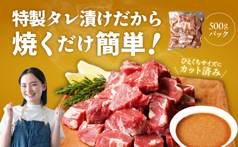 【氷温熟成×特製ダレ】やわらか牛ヒレ肉 切り落とし 1kg 訳あり サイズ不揃い mrz0038