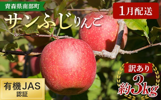 ［1月配送］ 《訳あり》 有機JAS認証 サンふじ りんご 約3kg 【和楽堂りんご養生農苑】 青森りんご リンゴ 林檎 アップル 果物 くだもの フルーツ オーガニック 無農薬 おすすめ 家庭用 わけあり あおもり 青森県 三戸 南部町 F21U-695