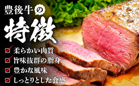 【全6回定期便】【訳あり】おおいた豊後牛 モモ ブロック 約500g?600g 日田市 / 株式会社MEAT PLUS　牛 うし 黒毛和牛 和牛 豊後牛[AREI117]