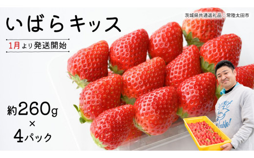 【 先行予約 】 茨城県品種 いばら キッス ( 4パック×1箱 )【 2027年1月から発送開始 】 （常陸太田市 共通返礼品 ) 約 260g × 4 パック いばらキッス いばらきっす いちご 数量限定 果物 くだもの フルーツ 苺 イチゴ 期間限定