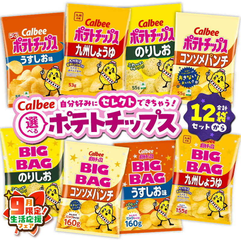 【ふるさと納税】【期間限定 生活応援】＜選べる＞ カルビー ポテトチップス 九州しょうゆ うすしお コンソメパンチ のりしお サイズ ビッグバッグ BIGBAG 定期便 ポテチ チップス お菓子 Calbee セット 大容量 セイカ食品 鹿児島市 おすすめ ランキング プレゼント ギフト