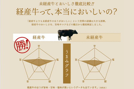 【累計2万パック突破！】但馬牛経産牛「焼肉用」（肩・モモ）1kg(500g×2)　020AA11N.／焼肉セット 黒毛和牛 いちかわ精肉店 経産牛 牛肉 国産 bbq バーベキュー 焼肉セット FN-