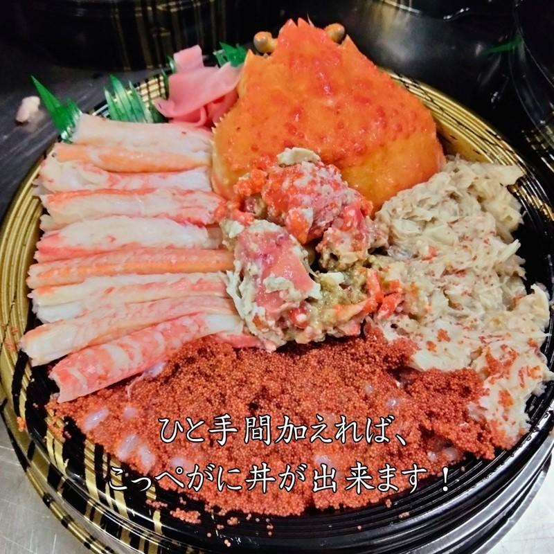【先行予約】京丹後市より茹でたて プロトン凍結 【 訳あり 】 茹でこっぺがに 香箱ガニ 10匹 蟹 かに カニ 釜茹で こっぺがに 訳あり 訳アリ 京都 京丹後　UM00010