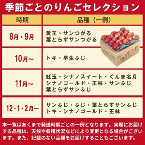 【26年6月出荷予定】りんご 品種おまかせ 約3kg 訳あり CA貯蔵 クール便【配送不可地域：離島・沖縄県】【1612945】