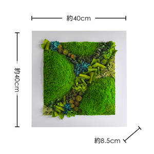 グリーンフレーム２L 花 お花 プリザーブドフラワー ギフト プレゼント お祝い 誕生日 お供え アレンジ インテリア 東京都 墨田区 黒フレーム