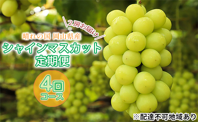 ぶどう 2024年 先行予約 晴れの国 シャインマスカット 2房 定期便 4回 コース 葡萄 岡山 国産 フルーツ 果物 シャインマスカット フルーツ ぶどう ブドウ フルーツ 種なし シャインマスカット 旬 定期便