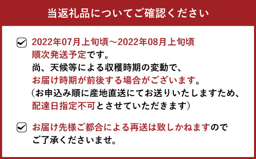 【7月上旬～順次発送】宇城市産 巨峰 種無し 約1.3kg（3～4房）のむちゃん農園 ぶどう