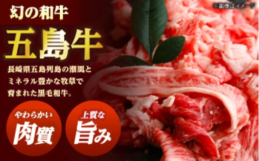 五島牛 焼肉セット 肩ロース バラ 700g / 約4人前 長崎和牛 BBQ ギフト 新上五島町 【ごとう農業協同組合】