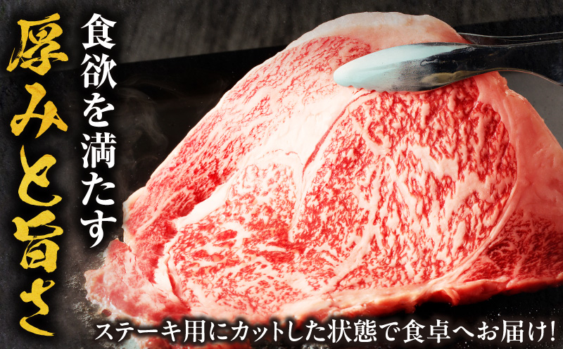 宮崎牛サーロインステーキ2枚 合計400g 霜降り 赤身 旨味