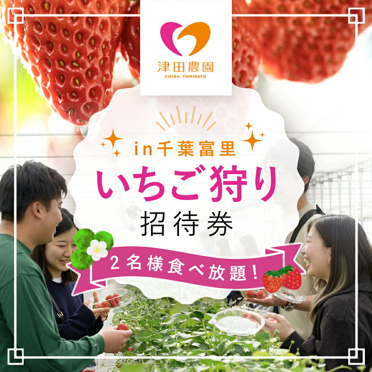 【ふるさと納税】 いちご狩り招待券（2名様） ふるさと納税 いちごイチゴ 苺 いちご狩り 食べ放題 食べ比べ 招待券 2名 千葉県 富里市 TME006