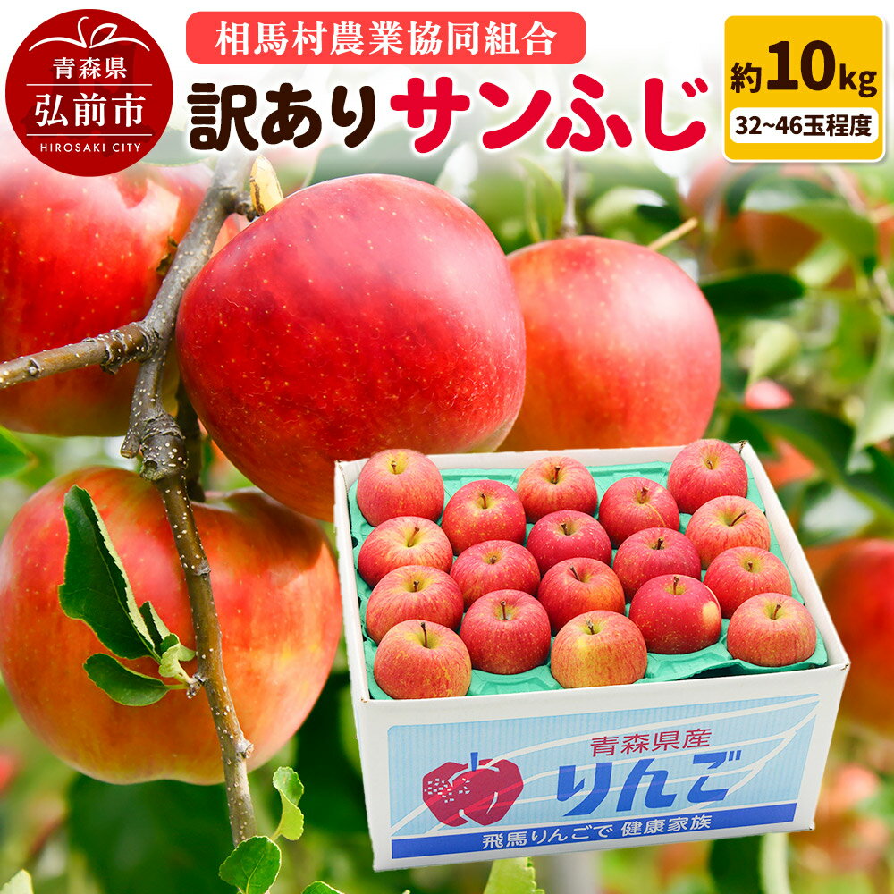 【ふるさと納税】【寄附金額見直しました】【26年3月発送】りんご【訳あり】サンふじ 約10kg（32〜46玉程度）
