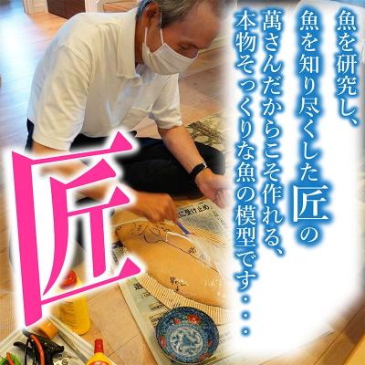 ふるさと納税 山田町 手作り 本物そっくり魚の模型 1点 |  | 02