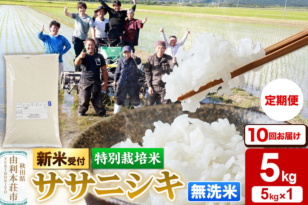 《令和8年産 新米受付》《定期便10ヶ月》【無洗米】特別栽培米 ササニシキ 5kg 秋田県産 [ササニシキ 新米予約 先行予約 米 お米 こめ 無洗米 精米 ブランド米 食卓 おにぎり 秋田県産 秋田
