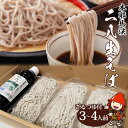 【ふるさと納税】本耶馬渓 二八生そば 3～4人前 (150g×3) ざるつゆ付 そば 蕎麦 生麺 28生そば 年越しそば 国産そば粉使用 大分県産 九州産 中津市 国産 送料無料／熨斗対応可 お歳暮 お中元 など【発送は、2024年4月～2024年9月末まで】