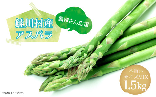 
                  農家さん応援！！鮭川村産 アスパラガス 不揃いサイズ MIX 1.5kg
                