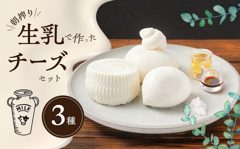 
            チーズ＆ピザワークス 朝搾り生乳で作った3種のチーズセット 兵庫県 洲本市 淡路島 [№5395-0423]
          