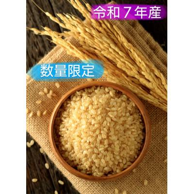 ふるさと納税 上富良野町 【数量限定】令和7年産 ななつぼし 玄米[10kg]