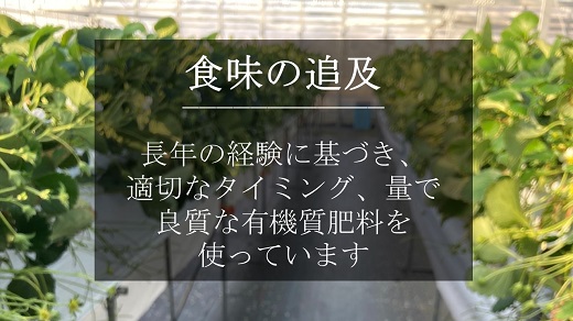 超特大いちご(章姫)　400g以上(6〜8粒、1粒50g以上)・O039-15 ／オオダケイチゴ 