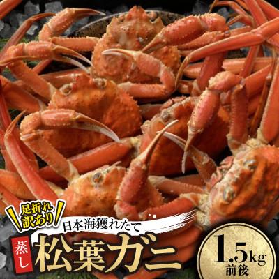 ふるさと納税 北栄町 【先行予約】【蒸し】足折れ松葉ガニ　1.5kg前後　※11月中旬から順次発送
