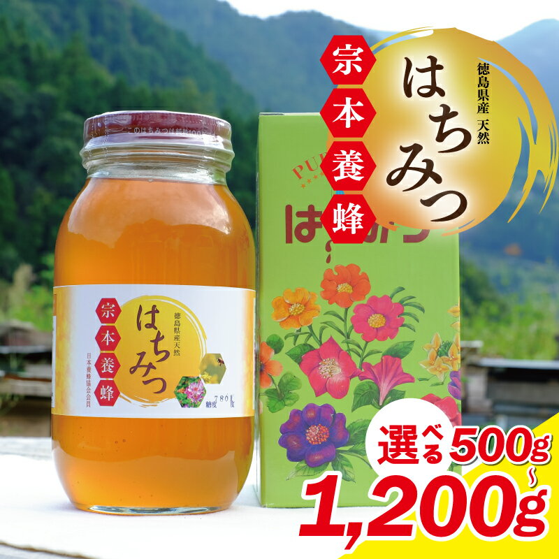 【ふるさと納税】 はちみつ 国産 選べる 容量 500g 〜 1.2kg 天然 完熟 蜂蜜 健康 無添加 栄養豊富 生はちみつ ハチミツ 化粧箱入 ギフト 贈答 人気 ヨーグルト パン ハニー メープル ケーキ アイス 調味料 美容 常温保存 保存食 備蓄 防災 送料無料 徳島県 吉野川市