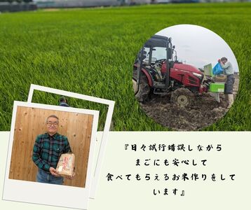 ひのひかり 玄米 10kg 奈良県 三宅町 ヒノヒカリ 堆肥 ミネラル栽培 志埜米穀店