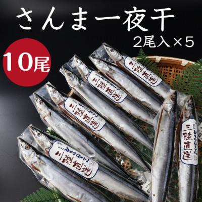ふるさと納税 釜石市 釜石ひもの屋さんのさんま一夜干 2尾入×5袋