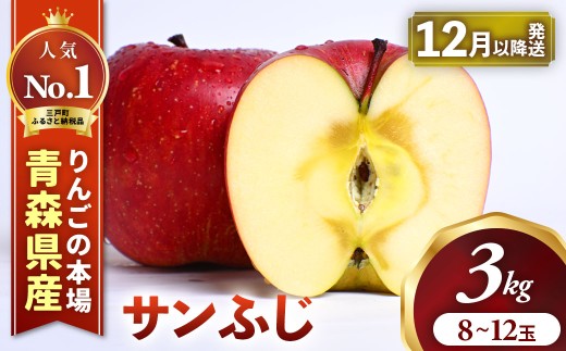 りんご【サンふじ】約3kg（8～12玉）【2026年産・先行予約】★2026年12月上旬～2027年1月中旬頃まで順次発送★青森県三戸町産 りんご 林檎 フルーツ 果物 果実 青森県 青森県産 三戸 