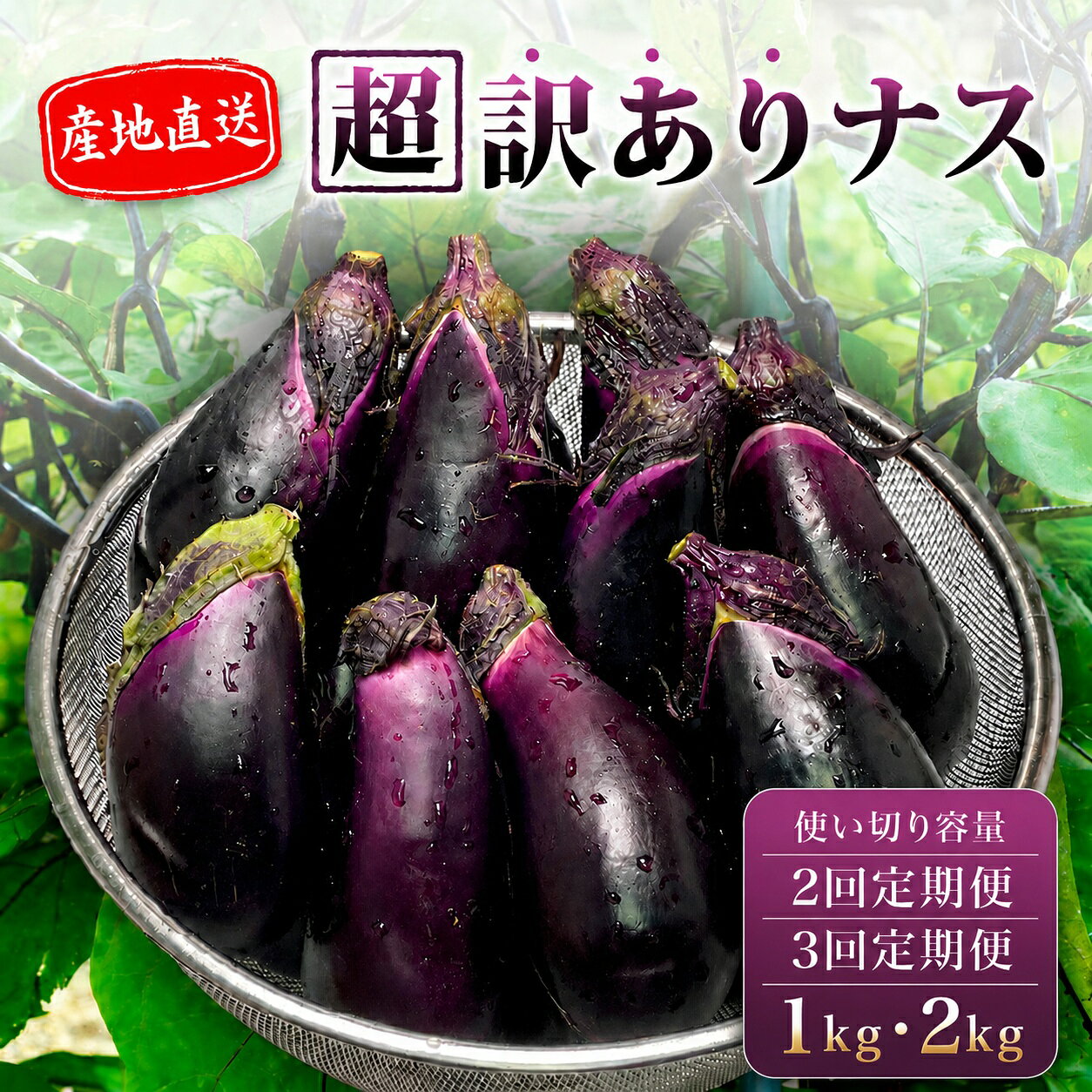 【ふるさと納税】 【先行受付】 安田町産 「超」 訳あり ナス なす なすび 選べる 1kg 2kg 定期便 新鮮 野菜 産地直送 夏野菜 漬物 味噌汁 みそ汁 麻婆茄子 煮びたし 煮浸し 焼なす 焼きナス わけあり 傷 きず 不揃い 高知 安田町