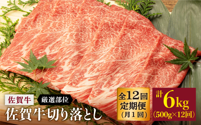 【12回定期便】 佐賀牛 切り落とし 500g (総計 6.0kg)【桑原畜産】 NAB034